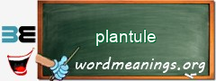 WordMeaning blackboard for plantule